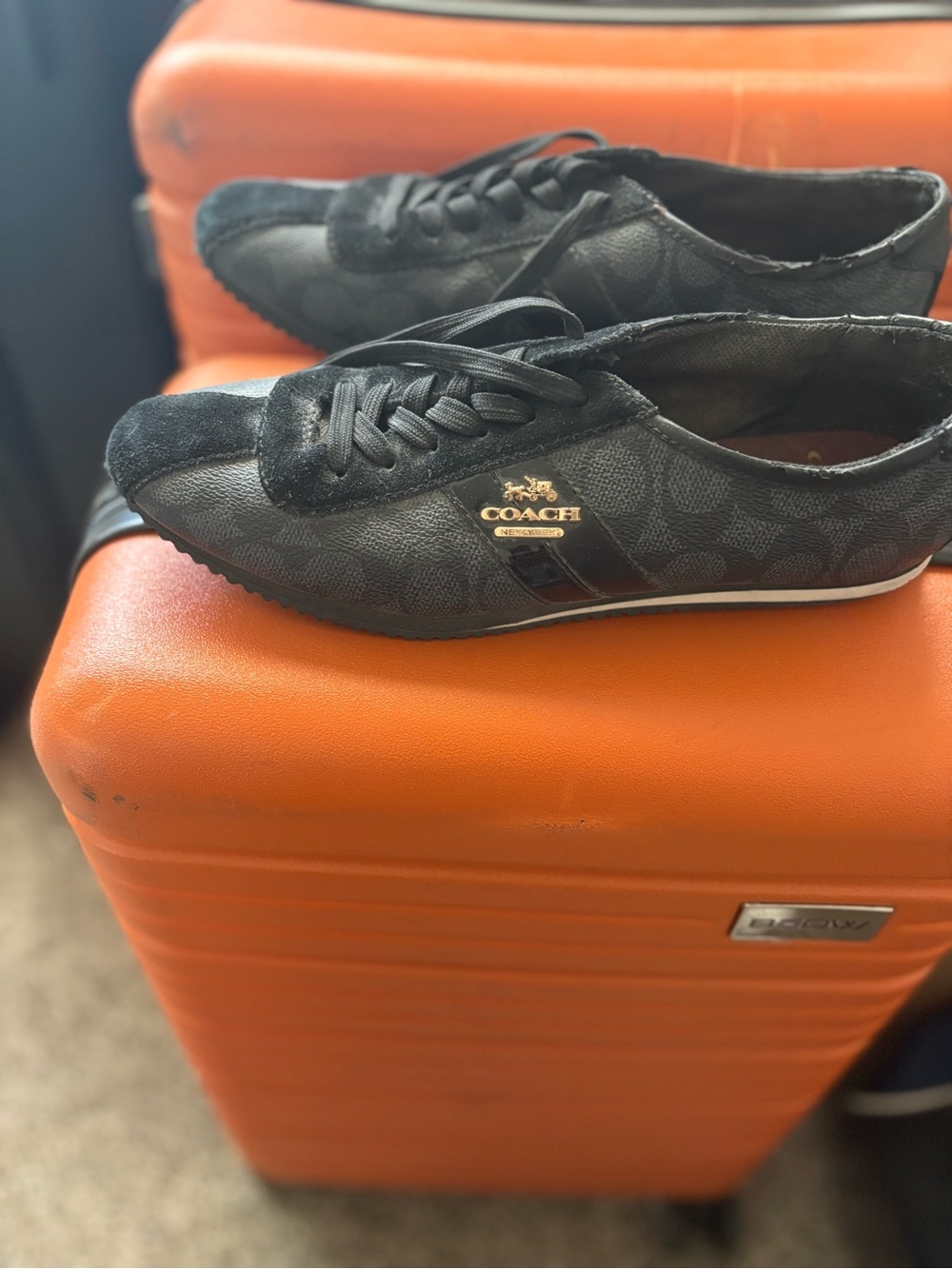 Coach Black Logo-Print Lace-Up Sneakers - Picture 3 of 7